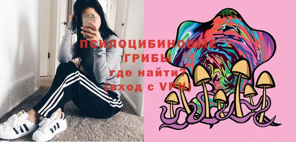 соль ск Абаза