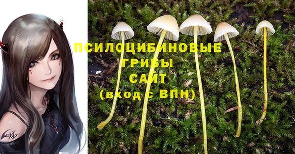 соль ск Абаза