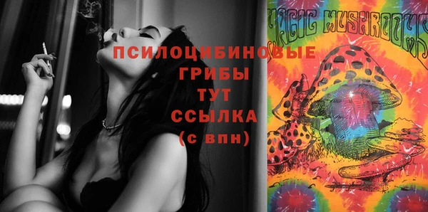 ешки Абинск