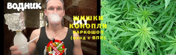 соль ск Абаза