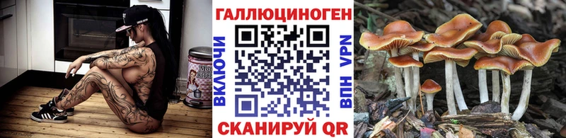 Псилоцибиновые грибы мицелий  Камень-на-Оби 