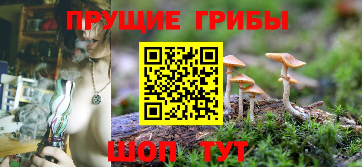 Галлюциногенные грибы GOLDEN TEACHER Камень-на-Оби
