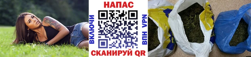 купить   Камень-на-Оби  Каннабис OG Kush 